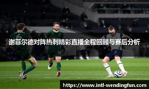 谢菲尔德对阵热刺精彩直播全程回顾与赛后分析
